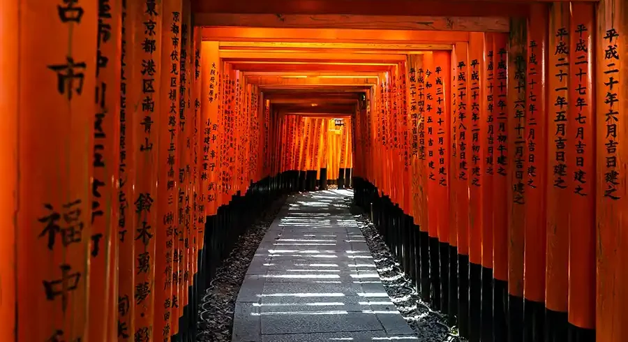 Tour Giappone medievale