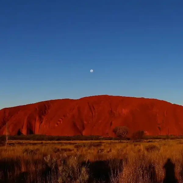 Tour Australia classico