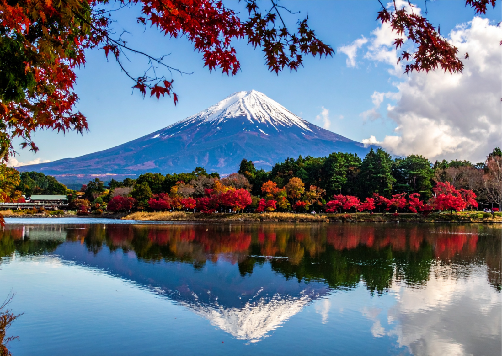 Tour Foliage Giappone