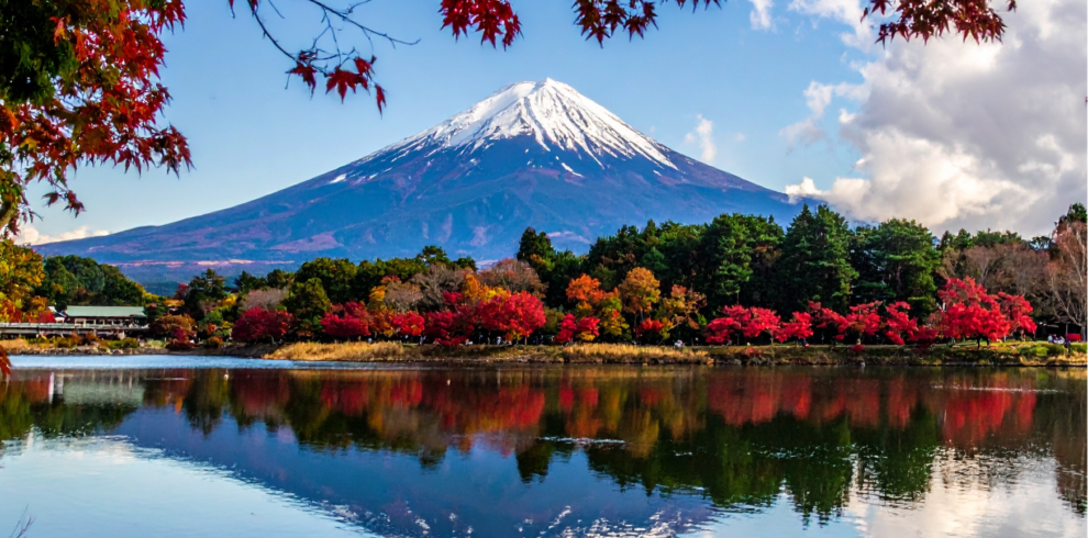 Tour Foliage Giappone