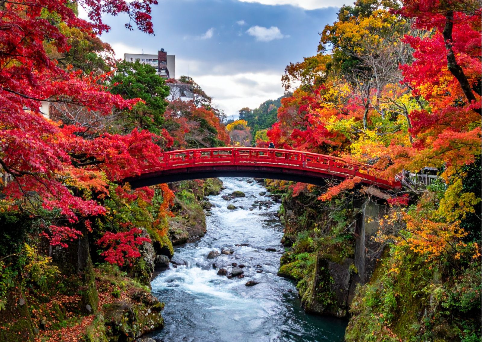 Tour Foliage Giappone