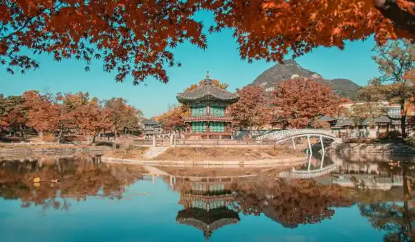Viaggio di gruppo Corea del Sud 2027